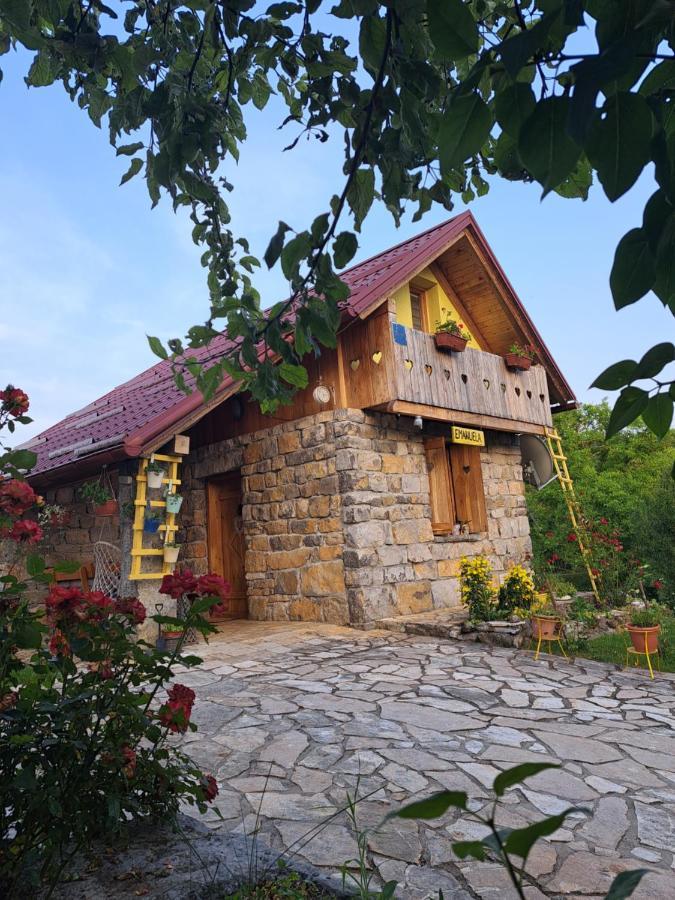 Guest House Emanuela Szluin Kültér fotó
